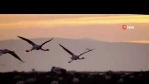 İzmir Zamanı, İngilizce tanıtım filmi yayında