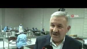 Kuru meyve üreterek pandemi döneminde daha da büyüdüler