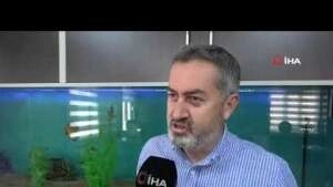 Pandemi tütsülenmiş alabalığa ilgiyi arttırdı
