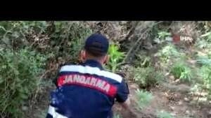 İzmir'de jandarmadan zehir tacirlerine baskın