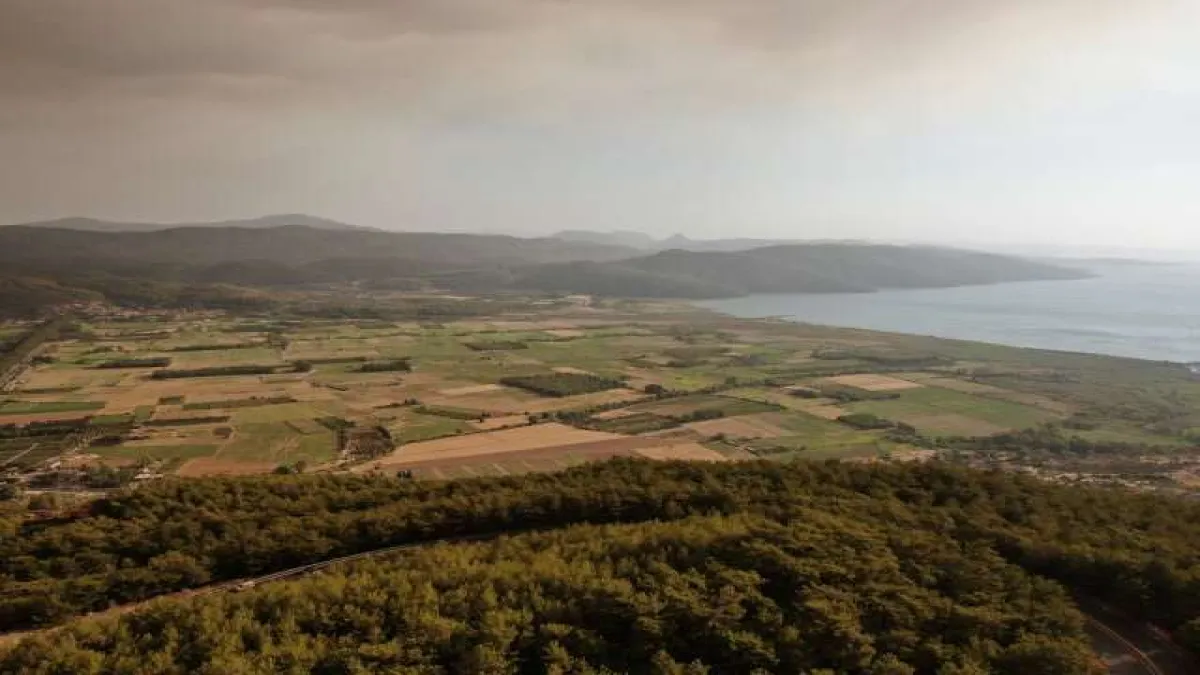 Muğla’da yükselen dumanlar gökyüzünü griye boyadı