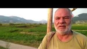 Suyu biten göletten 4 bin balığı kurtardılar