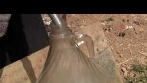 Adaçayı yağı her derde deva