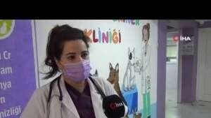 Çarptığınız ya da yaralı gördüğünüz sokak hayvanlarını arkanızda bırakmayın