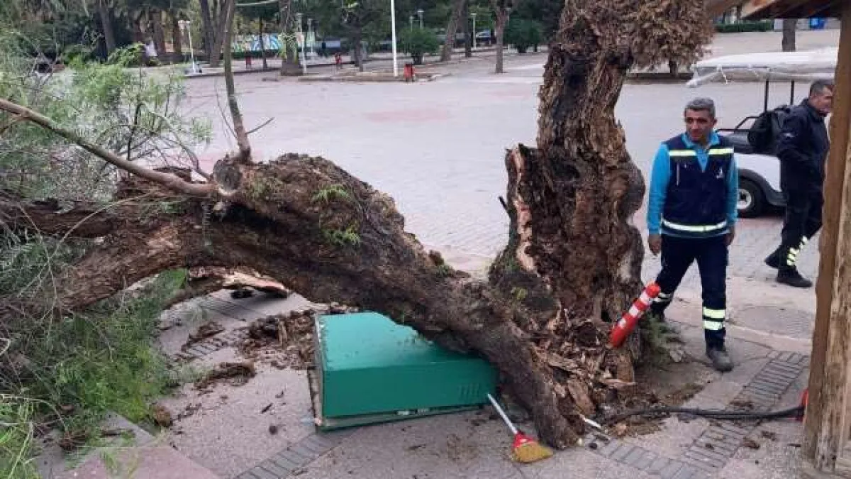 İzmir’de fırtına raporu - 277