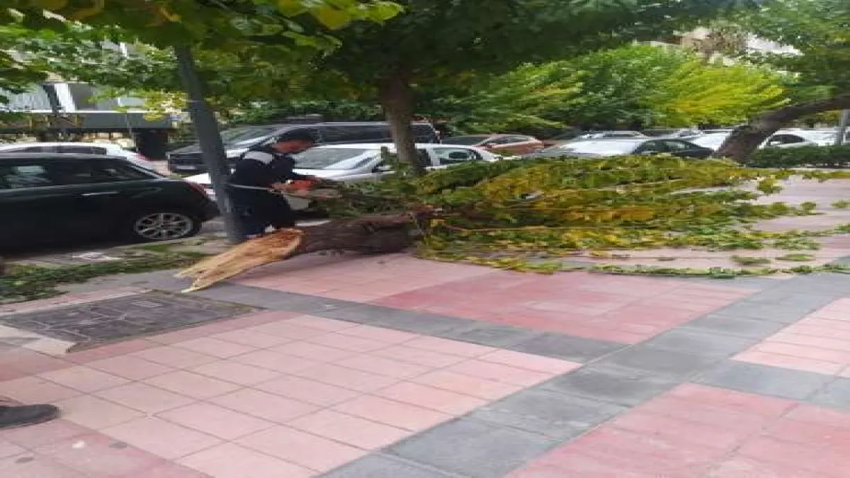İzmir’de fırtına raporu - 278