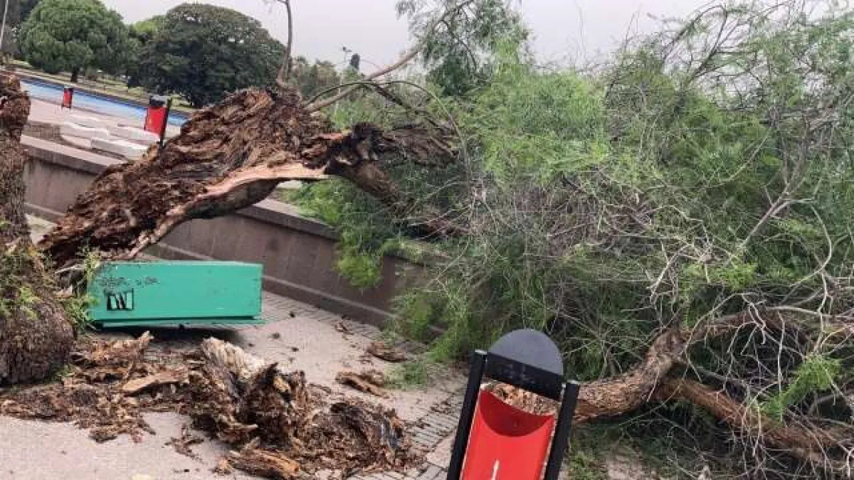 İzmir’de fırtına raporu