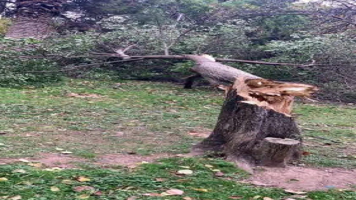 İzmir’de fırtına raporu