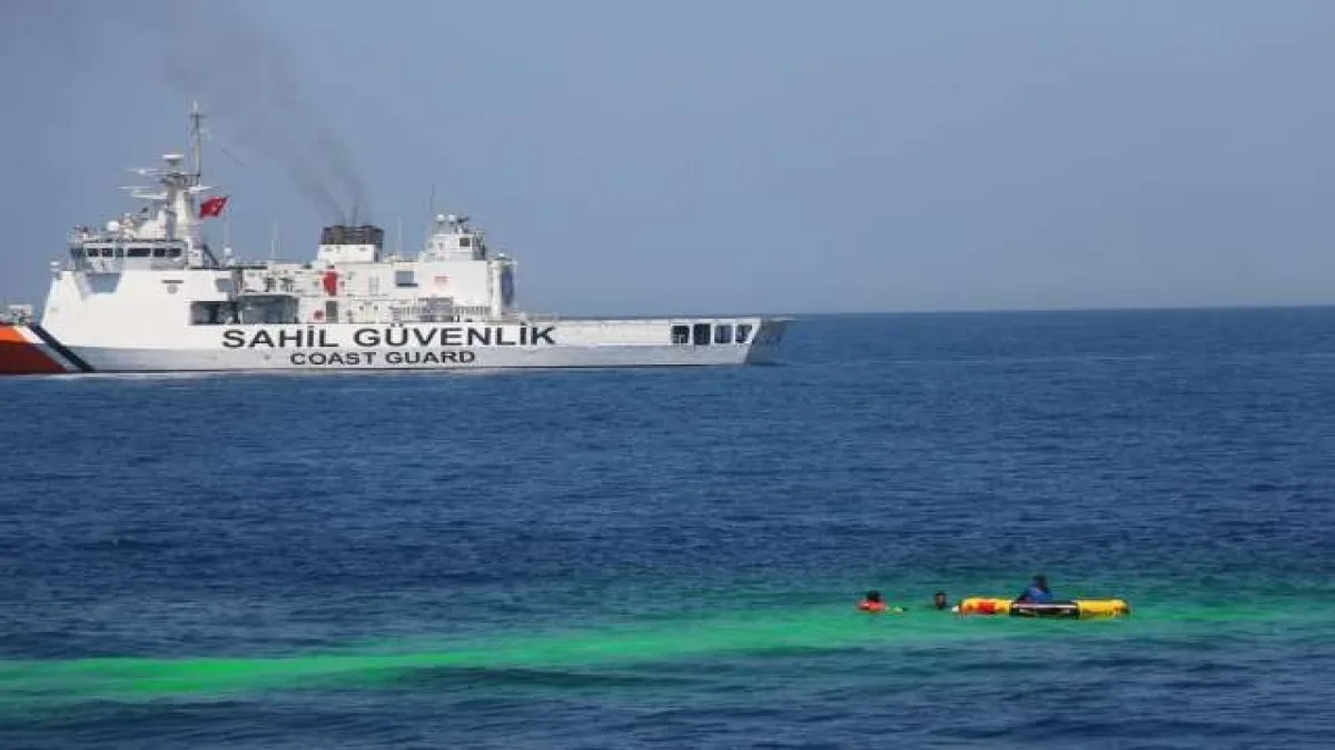Deniz Aslanı-2022 Arama Kurtarma Davet Tatbikatı - 347