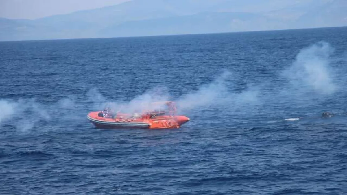 Deniz Aslanı-2022 Arama Kurtarma Davet Tatbikatı - 344