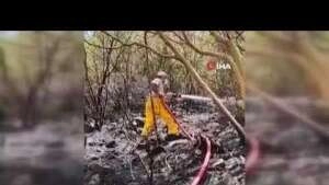 Ateş kahramanları canla başla mücadele veriyor