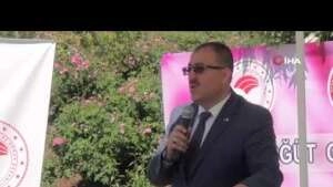 Yağlık gül hasadı başladı