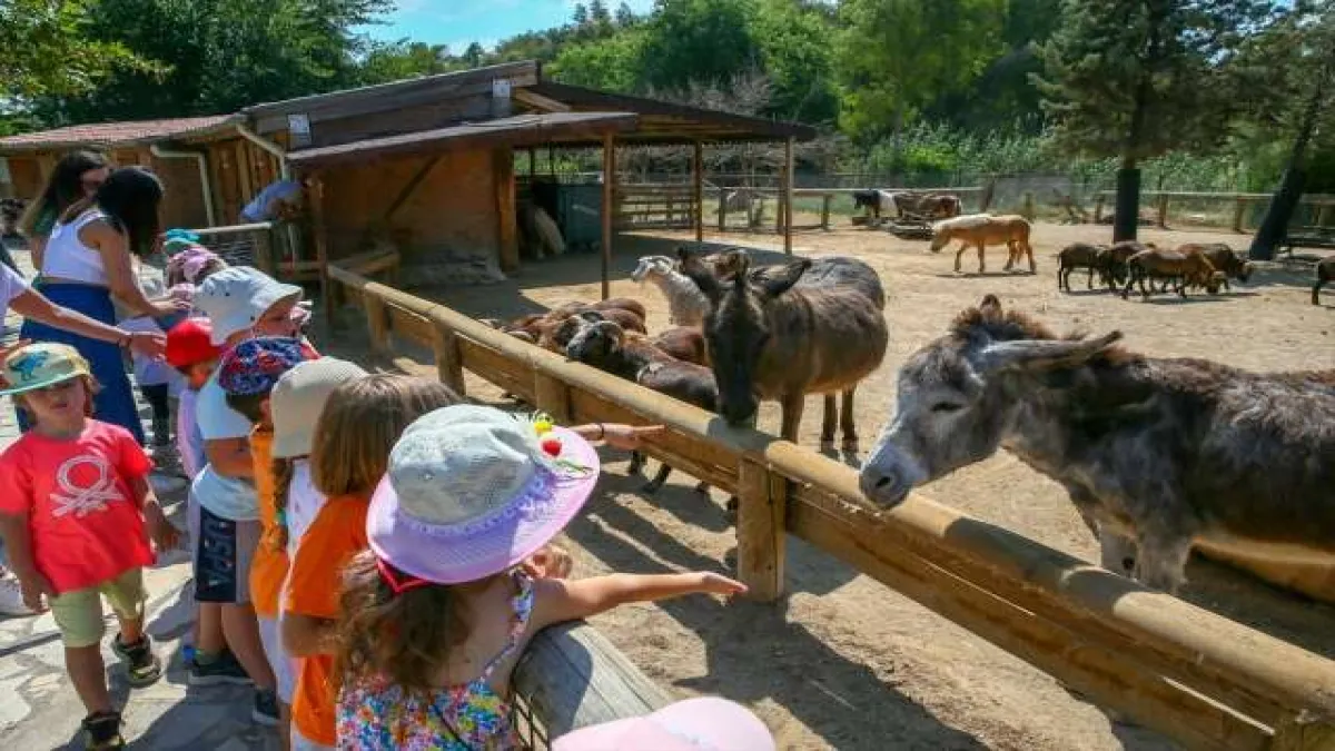 İzmir Doğal Yaşam Parkı'nın sevimli sakinleri - 353