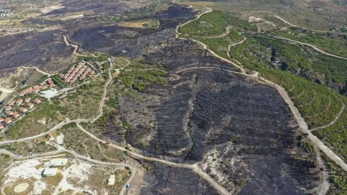 Çeşme'de yanan alanlar havadan görüntülendi - 368