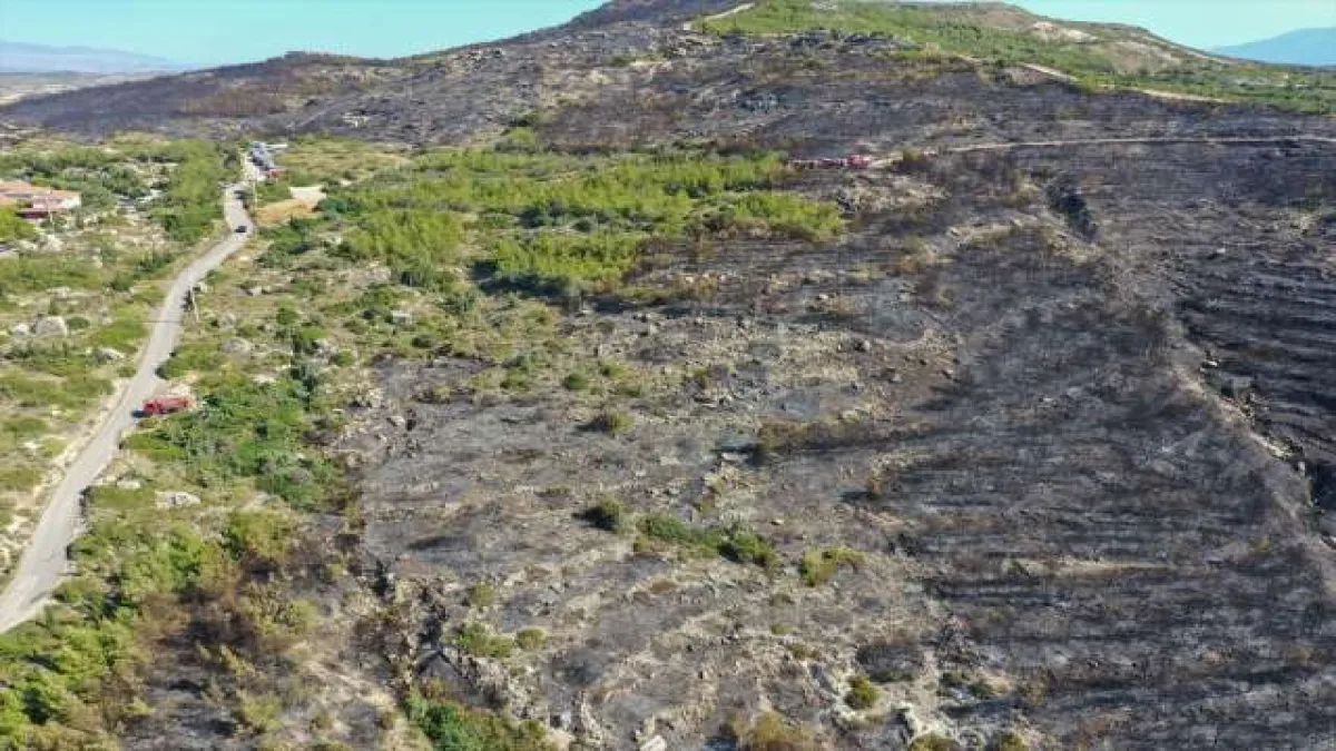Çeşme'de yanan alanlar havadan görüntülendi - 1461