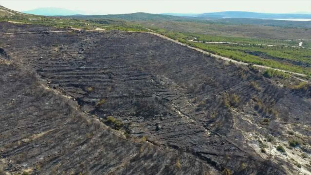 Çeşme'de yanan alanlar havadan görüntülendi - 1456