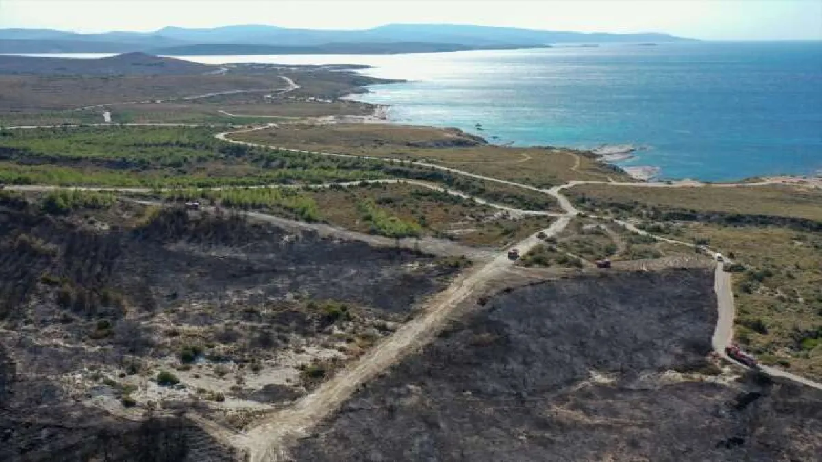Çeşme'de yanan alanlar havadan görüntülendi - 1454