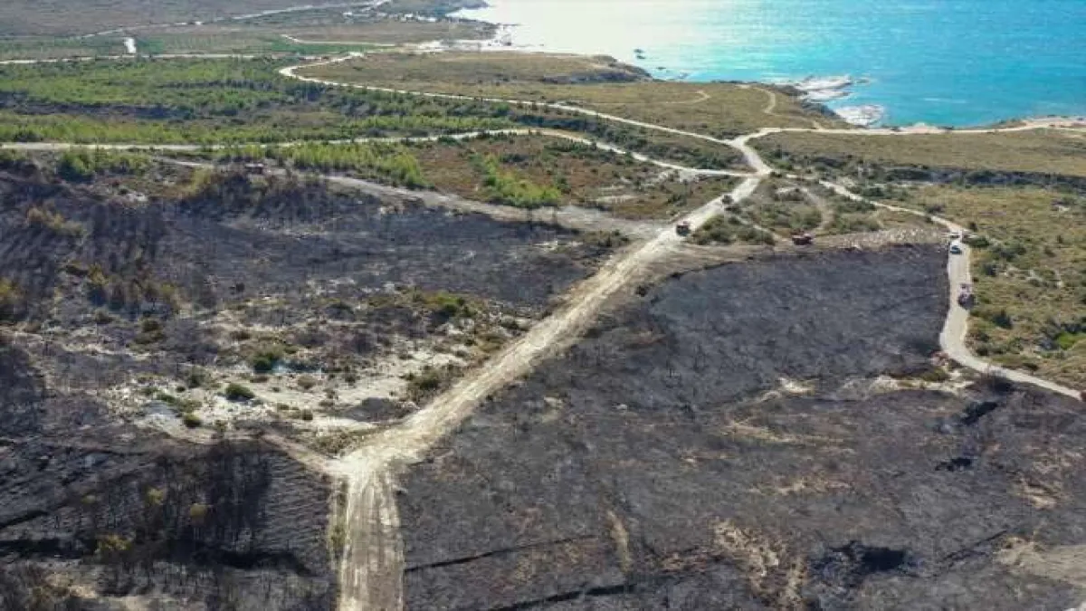 Çeşme'de yanan alanlar havadan görüntülendi - 1458
