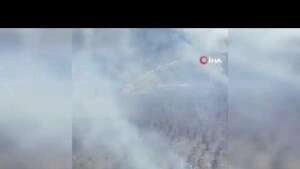Seferihisar'daki her iki yangın da kontrol altında