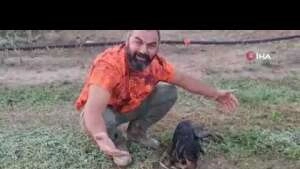 Avcı can dostu köpeğini kalp masajı yaparak hayata döndürdü
