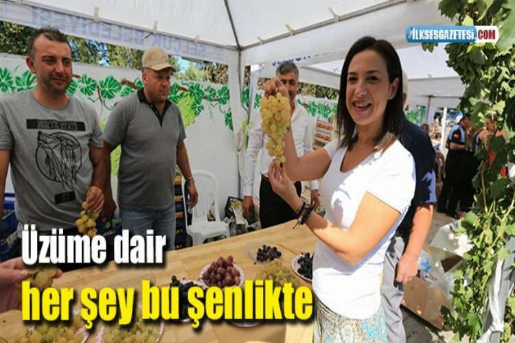 Üzüme dair her şey bu şenlikte haberinin görseli