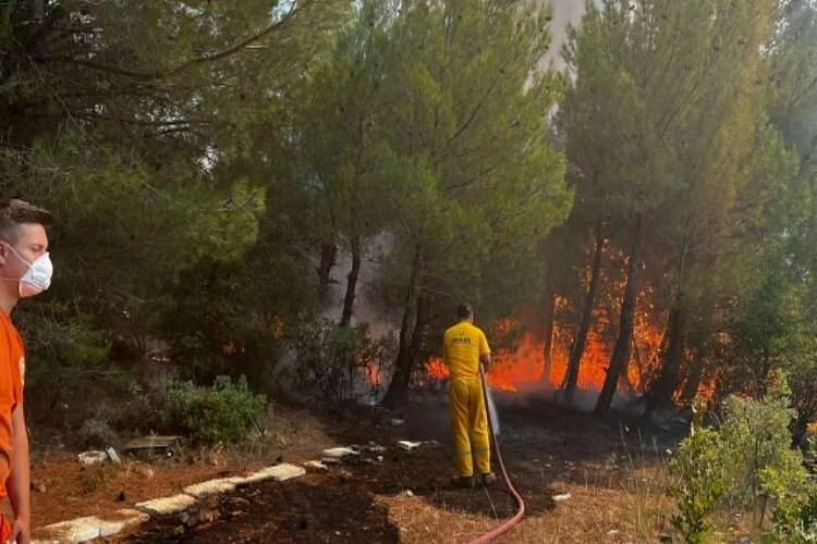 Bergama'daki orman yangını kontrol altında haberinin görseli