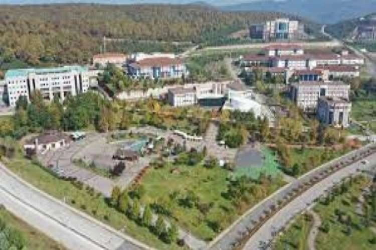 Düzce Üniversitesi Sözleşmeli personel alacak haberinin görseli