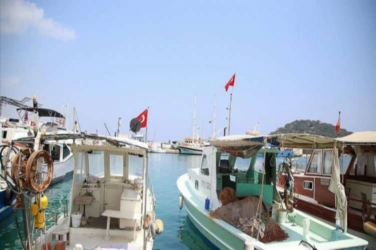Havaların soğumasıyla balon balığı avcılığının artması bekleniyor haberinin görseli
