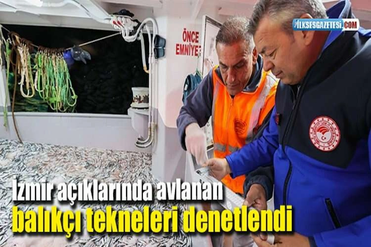 İzmir açıklarında avlanan balıkçı tekneleri denetlendi haberinin görseli