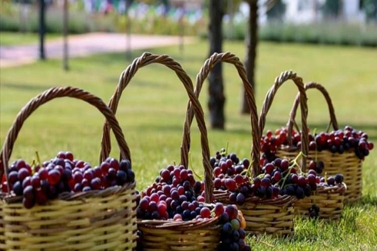 Konya'da Meram Bağları Projesi'nin açılışı yapıldı haberinin görseli