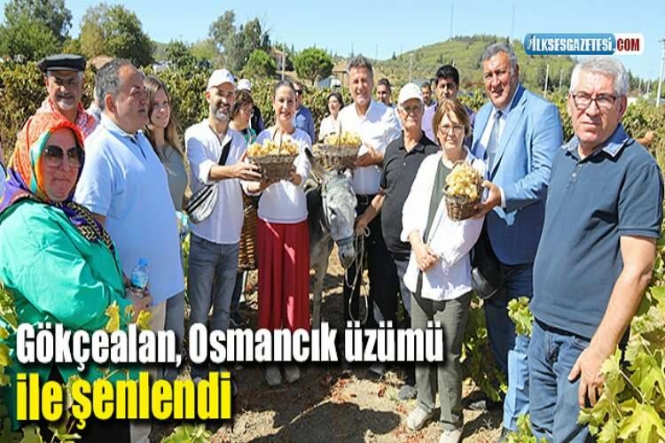 Gökçealan, Osmancık üzümü ile şenlendi haberinin görseli