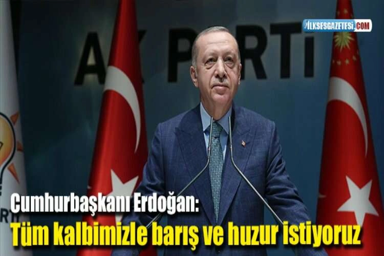 Cumhurbaşkanı Erdoğan: Tüm kalbimizle barış ve huzur istiyoruz haberinin görseli