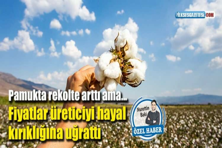 Fiyatlar üreticiyi hayal kırıklığına uğrattı