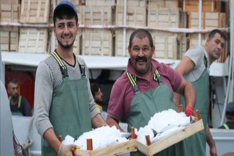 Batı Karadenizli balıkçılar limana bol palamutla döndü haberinin görseli