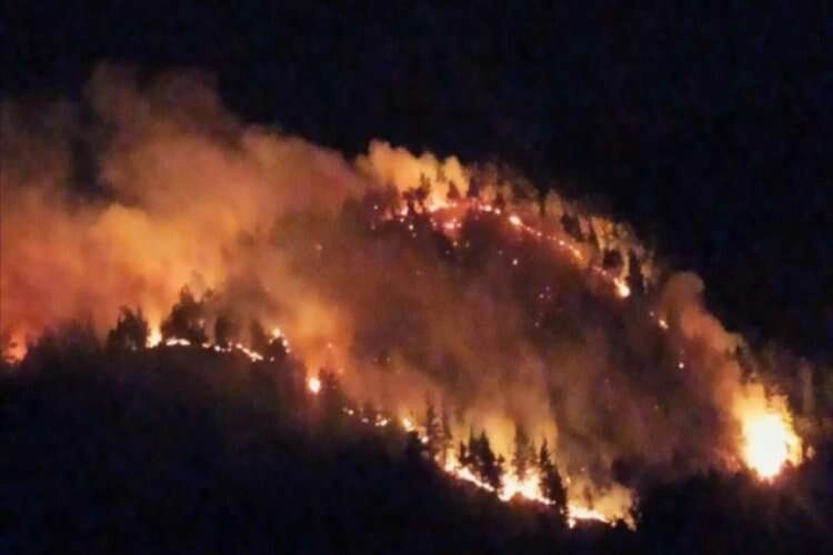 Uşak'ta ormanlık alanda çıkan yangın kontrol altına alındı