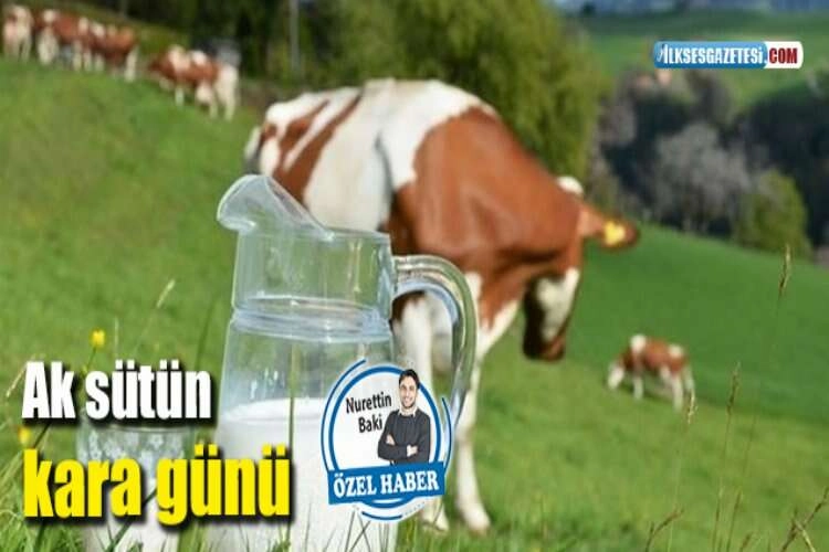 Ak sütün kara günü haberinin görseli