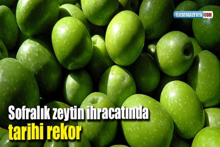 Sofralık zeytin ihracatında tarihi rekor haberinin görseli