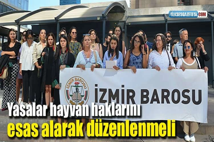 Yasalar hayvan haklarını esas alarak düzenlenmeli haberinin görseli
