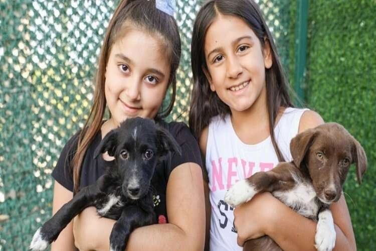 Bucalı miniklere hayvan sevgisi aşıladılar haberinin görseli