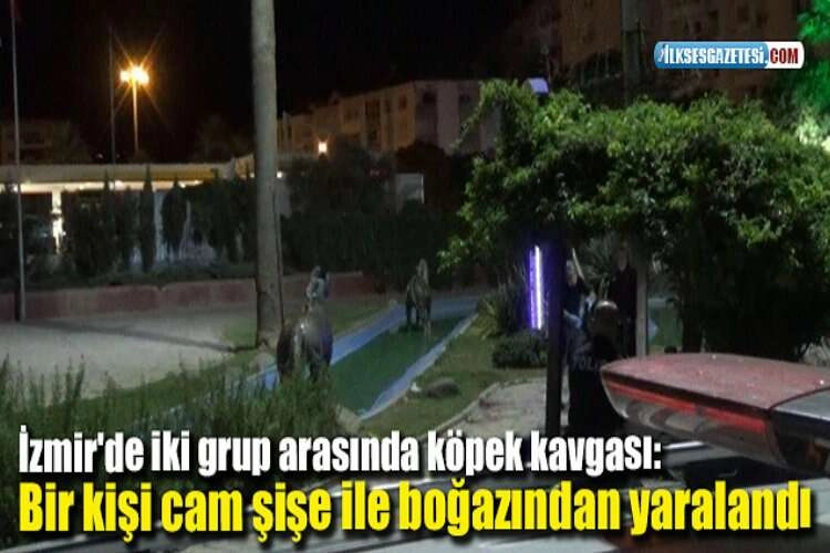 İzmir'de iki grup arasında köpek kavgası: Bir kişi cam şişe ile boğazından yaralandı haberinin görseli