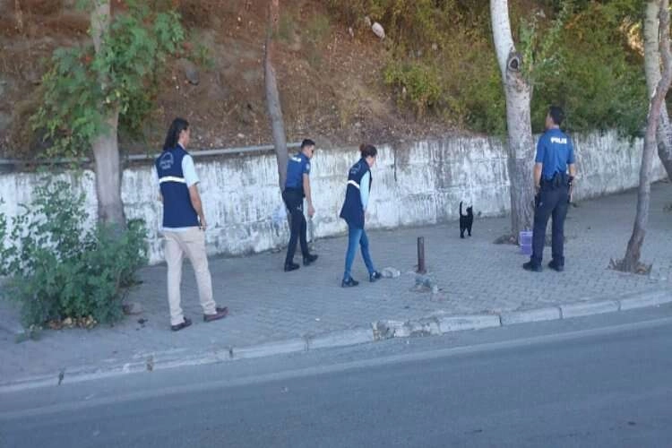 İzmir polisi sokak hayvanlarını unutmadı haberinin görseli