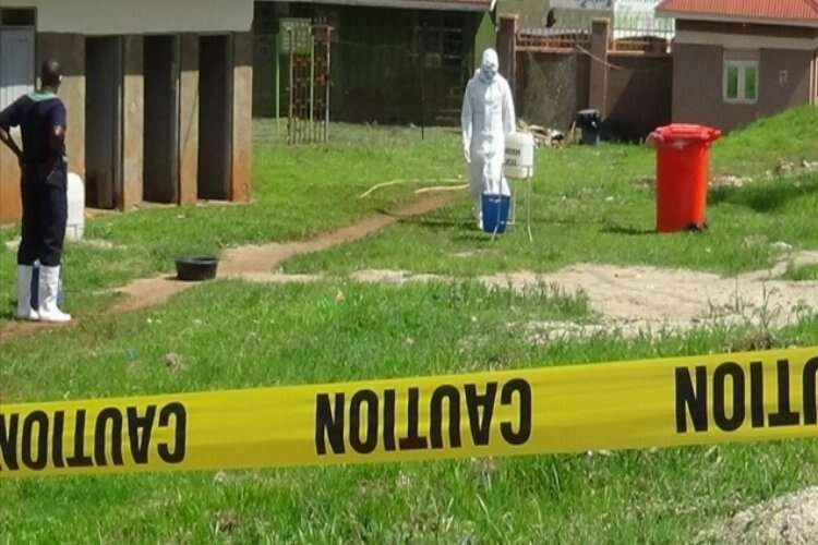 Afrika ülkeleri, Ebola salgını nedeniyle acil toplanıyor