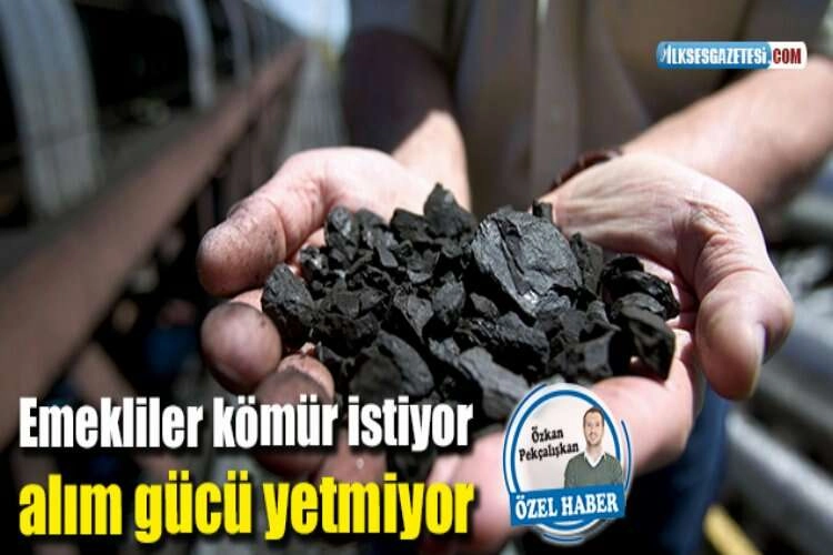 Emekliler kara kışın derdine düştü haberinin görseli