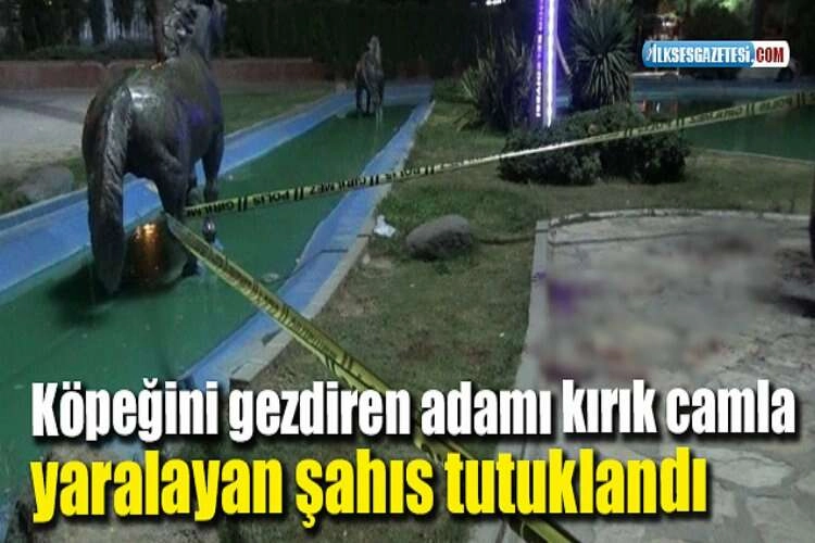 Köpeğini gezdiren adamı kırık camla yaralayan şahıs tutuklandı haberinin görseli