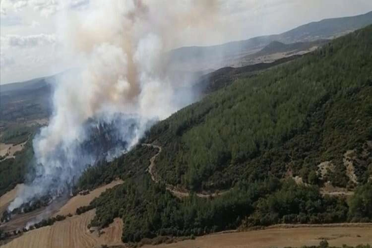 Muğla'da çıkan orman yangınına havadan ve karadan müdahale ediliyor haberinin görseli