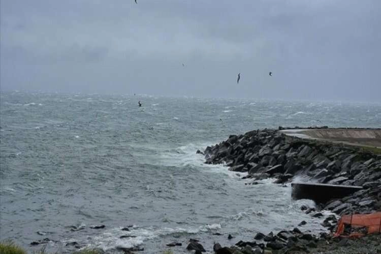 Meteorolojiden Doğu Karadeniz'de kuvvetli yağış uyarısı haberinin görseli