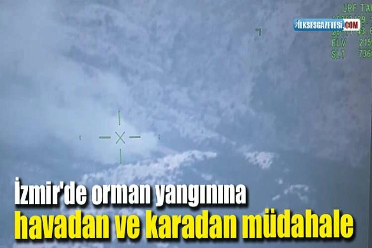 İzmir'de orman yangınına havadan ve karadan müdahale haberinin görseli