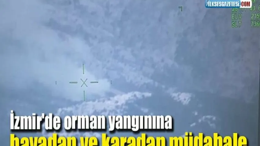 İzmir'de orman yangınına havadan ve karadan müdahale