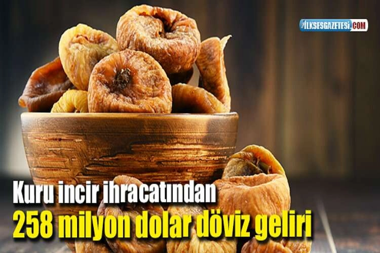 Kuru incir ihracatından 258 milyon dolar döviz geliri haberinin görseli