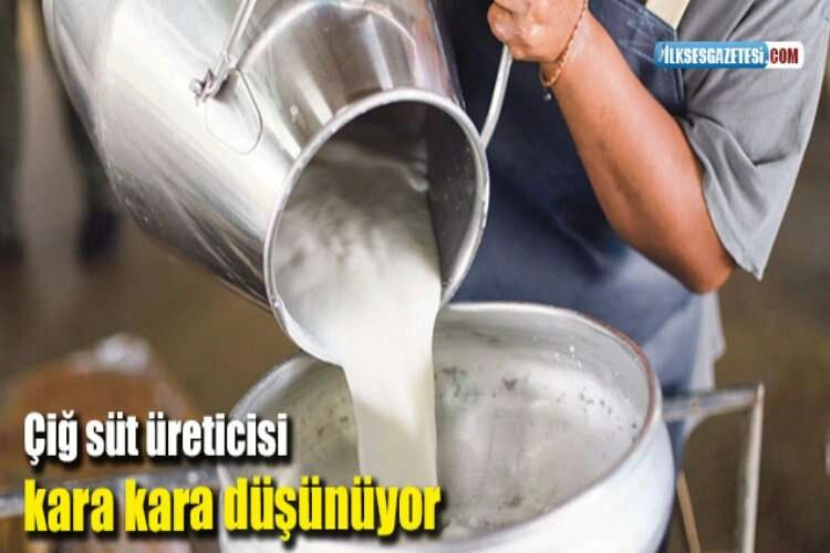 Artan maliyetler, yok olan meralar… haberinin görseli